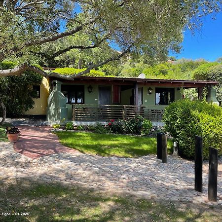 Les Bungalows De Figha Tarcu Zewnętrze zdjęcie