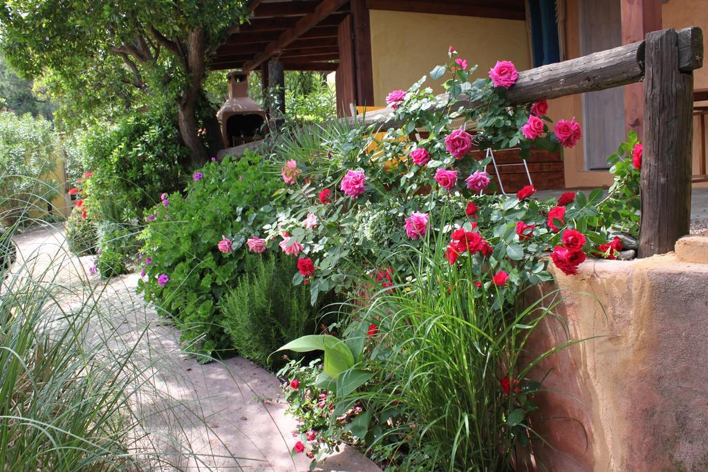 Les Bungalows De Figha Tarcu Zewnętrze zdjęcie